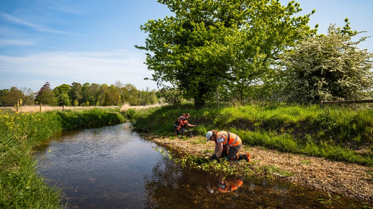 Two people wearing waders in the River Gadder, planting wildflowers along the river margin, with a large tree behind them